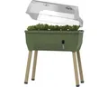 Hochbeet auf Stelzen Gusta Garden Sammy Salad inkl. Deckel 79 x 37,5 x 95 cm dun