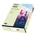 inapa farbiges Druckerpapier, buntes Papier tecno Colors: 80 g/m², A4, 500 Blatt, hellgrün