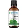 Melisse Melissa officinalis L. Tropfen Tinktur 50 ml