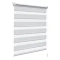 WOLTU Doppelrollo Klemmfix ohne Bohren Grau B80 x H120 cm, Duo Rollo lichtdurchlässig Fensterrollo für innen verdunkelnd, Zebrarollo mit Kettenzug - Seitenzugrollo für Fenster und Tür