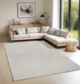 Teppich THE CARPET "Elisa", grau, B:240cm H:12mm L:340cm