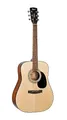 AD810 Open Pore Acoustic Guitar