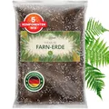 ORAGARDEN Farn Erde für Zimmerpflanzen und Garten - 1L Farn Substrat für Pflanzen, Palmen, Blumen - 5 Komponenten Blumenerde