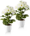PASCH® Künstliche Geranien im Hochglanz-Keramiktopf | Kunstblumen im Topf | Künstliche Blumen wie echt | Fake Blumen | Kunstblumen wie echt (Weiß, 2 Stück, 25cm)