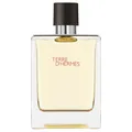 HERMÈS Terre d'Hermès Eau de Toilette 100 ml