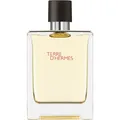 HERMÈS Terre d’Hermès Eau de Toilette 100 ml