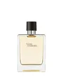 Hermčs Terre d' EDT 100 ml 3346130009603