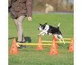 TRIXIE Agility-Hürde Pylonen-Hindernis-Set - orange/gelb - ø 23 × 30 cm/78 cm