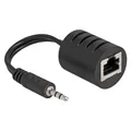 Delock Stereo Audio Extender RJ45 Bu zu 3,5 mm Kli (Klinkenadapter) (87858)