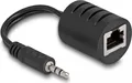 Delock - Audio-Adapter - RJ-45 weiblich zu Mini-Stecker männlich - Schwarz (Packung mit 2) (87858)