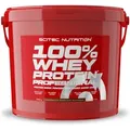 100% Whey Protein Professional - 5000g - Schoko-Haselnuss