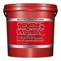 Scitec 100% Whey Professional