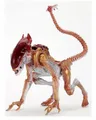 NECA Actionfigur Aliens Action Figur Kenner Tribute Panther Alien 2