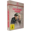 Ein gefundenes Fressen (Filmjuwelen) Barbara Gallauner
