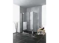Kermi Pendeltür Pasa XP 1GR 1300x1850, silber mattglanz, ESG klar, PX1GR130181AK PX1GR130181AK