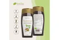 PureRaw Sirup Yacon Sirup - Natürliches Süßungsmittel, vegan, bio