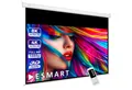 ESMART ESMART Germany Motor Leinwand Motorleinwand (Professional MIMOTO)