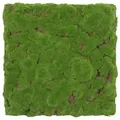 JANGAL 3D Wandpaneel Modular Wall, 520 x 520 mm, Design Moos, Grün grün