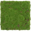 Jangal Akustikpaneel Modular Wall System Design Moos, Hellgrün, Kunststoff, 52x52x2.6 cm, Handmade Quality, Montage ohne Bohren, Tapeten & Wandverkleidungen, Akustikpaneele