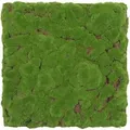Jangal - Modular Wall Akustik 3d Paneele 520 X 520 Mm Forest Green Bulk Design Moos Kunst Pflanzwand Moospaneele