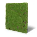 JANGAL Modular Wall Design Moos Paneel (52 x 52 cm), Modulares Wandpaneel, mit recyceltem PET-Filz, zum Kleben oder Schrauben, Wandverkleidung, Wand Deko, Mooswand (Forest Green Bulk)