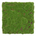 JANGAL Modular Wall Pflanzenwand  520 x 520 mm Design Moos Forest Green Bulk