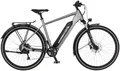 FISCHER Fahrrad E-Bike ATB TERRA 2.2 459 55, 8 Gang Shimano ACERA Schaltwerk, Heckmotor, 459 Wh, (mit Akku-Ladegerät, mit Werkzeug), Pedelec, Elektrofahrrad für Damen und Herren
