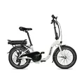 BLAUPUNKT BERTA Falt E-Bike (tiefer Einstieg, 20 Zoll, 60 km Reichweite, 22 kg)
