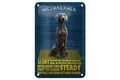 Blechschild Spruch 12x18cm Weimaraner Hund alert and steady Deko Schild