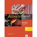 Aspekte Beruf B1/B2 Brückenelement - Hybride Ausgabe allango