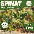 Little Plants BIO Spinat Samen 10 Spinatsamen Neuseeland Tetragonia Gemüsesamen Gemüsesaatgut Samenfest für Gemüsegarten, Hochbeet, Küche, Balkon und Garten