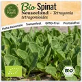 Spinat Samen Neuseeland (BIO) - 10 Samen Gemüsesamen Spinatsamen
