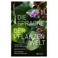 AT Die Sprache der Pflanzenwelt (Deutsch, Svenja Zuther, 2023) (36893198)