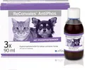 Alfavet ReConvales AntiPhos | 3 x 90 ml | Ergänzungsfuttermittel für Katzen und kleine Hunde | Versorgung mit Vitaminen und Spurenelementen | Mit Phosphatbinder und Calciumcarbonat