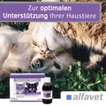 ReConvales AntiPhos 3x90 ml für Katzen & kleine Hunde Alfavet