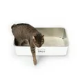 LucyBalu® STEELOO Katzenklo aus Edelstahl I XXL Katzentoilette ohne Deckel mit hop-in Oben-Einstieg I hygienisch, geruchsfrei & leicht zu reinigen I 59,5 × 39,5 × 15,5 cm I Weiß
