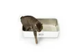 LucyBalu Katzentoilette STEELOO Edelstahl Katzenklo geruchsfrei, Katzentoilette aus Edelstahl