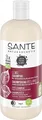 SANTE Naturkosmetik FAMILY Glanz Shampoo, silikonfreie Glanzpflege mit Bio-Birkenblattextrakt und pflanzlichem Protein, vegane Haarpflege für gepflegtes und natürlich glänzendes Haar, 500ml