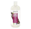 SANTE Haarshampoo Glossy Shine Shampoo - Birke 500ml