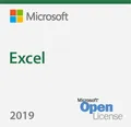 Microsoft Corporation Microsoft Excel 2019 Windows 065-08677