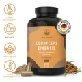 Cordyceps Sinensis (10:1 Extrakt) - 270 Kapseln (650 mg) - Vegan - TRUE NATURE®