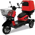 Rolektro Elektroroller "E-Carrier", max. 25 km/h, Reichweite: 90 km
