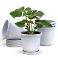 Plastard Blumentöpfe 5er Set 27 cm Durchmesser Weiß runder Pflanzkübel mit Untersetzer aus Kunststoff witterungsbeständiger Übertopf großer Blumentopf
