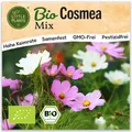 Cosmea Samen Mix (BIO) - 100 Samen Blumensamen Cosmeasamen Schmuckkörbchen