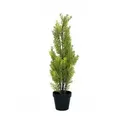 EUROPALMS Zypresse, Leyland, Kunstpflanze, 60cm