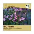 Samenliebe BIO Akelei Samen | Gartenakelei - bunte Blüten Mischung - winterhart & mehrjährig - samenfestes BIO Saatgut