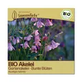 Samenliebe BIO Akelei Samen Gartenakelei - Bunte Blüten - winterhart