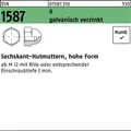25er PACK(Stk)  001587061000160000 Sechskanthutmutter DIN 1587 M 16 6 galvanisch