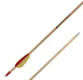by Beier Germany Holzpfeil Motega 27 Zoll mit Plastikfletches