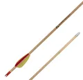 Holzpfeil Motega 27 Zoll mit Plastikfletches